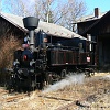 Pohádkový vlak Č.Budějovice - Netolice 16.3.2011 (foto P.Souhrada, P.Vlachý -čb)